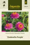 ISOTSINNIA ZINDERELLA PURPLE - Tsinnian siemenet - 7332756288245 - 1
