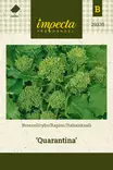 ITALIANKAALI QUARANTINA - Muut vihannesten siemenet - 7332756293355 - 1