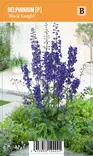 JALORITARINKANNUS BLACK KNIGHT - Muut perennat - 2020098200005 - 1