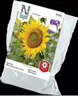 JÄTTIAURINGONKUKKA UNIFLORUS - Auringonkukan siemenet - 7312600611535 - 1