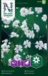 KESÄHARSO - Muut kesäkukkien siemenet - 7312600953765 - 2