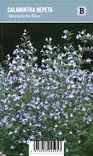 KIVIKKOKÄENMINTTU MARVELETTE BLUE - Muut perennat - 2031014000005 - 1