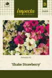 PETUNIA SHAKE STRAWBERRY - Muut kesäkukkien siemenet - 7332756264195 - 1