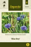 RUISKAUNOKKI BLUE BOY - Muut kesäkukkien siemenet - 7332756282205 - 1