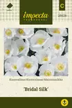SILKKIUNIKKO BRIDAL SILK - Muut kesäkukkien siemenet - 7332756286265 - 1