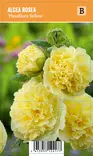 TARHASALKORUUSU PLENIFLORA YELLOW - Muut perennat - 2041630700005 - 1