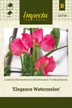 TUOKSUHERNE ELEGANCE WATERMELON - Muut kesäkukkien siemenet - 7332756247945 - 1