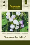 TUOKSUHERNE SPENCER ARTHUR HELLYER - Muut kesäkukkien siemenet - 7332756284865 - 1
