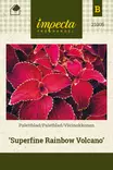 VÄRINOKKONEN SUPERFINE RAINBOW VOLCANO - Muut kesäkukkien siemenet - 7332756210055 - 1