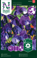 TUOKSUHERNE LORD NELSON - Muut kesäkukkien siemenet - 7312600940345 - 1