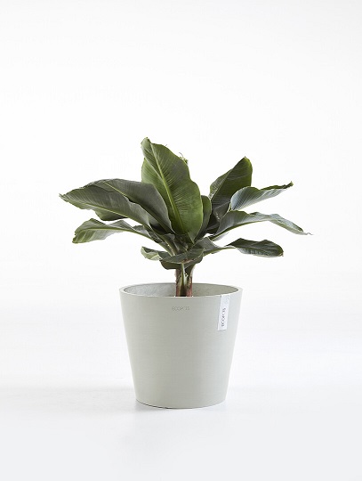 AMSTERDAM RUUKKU VALKOHARMAA 40 CM - Muoviruukut - 5413724301295 - 1