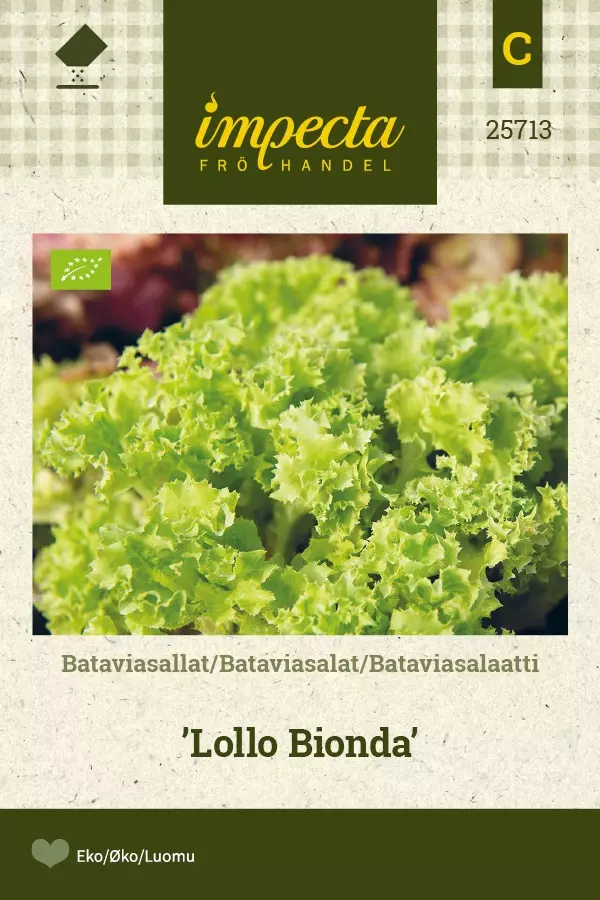 BATAVIASALAATTI LOLLO BIONDA - Salaatin siemenet - 7332756257135 - 1