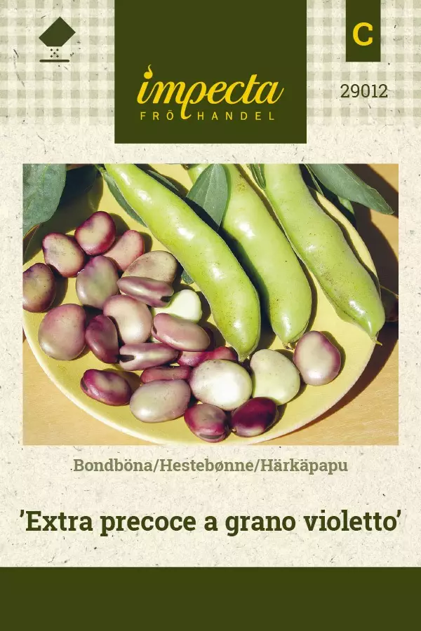 HÄRKÄPAPU EXTRA PRECOCE A GRANO VIOLETTO - Pavun siemenet - 7332756290125 - 1