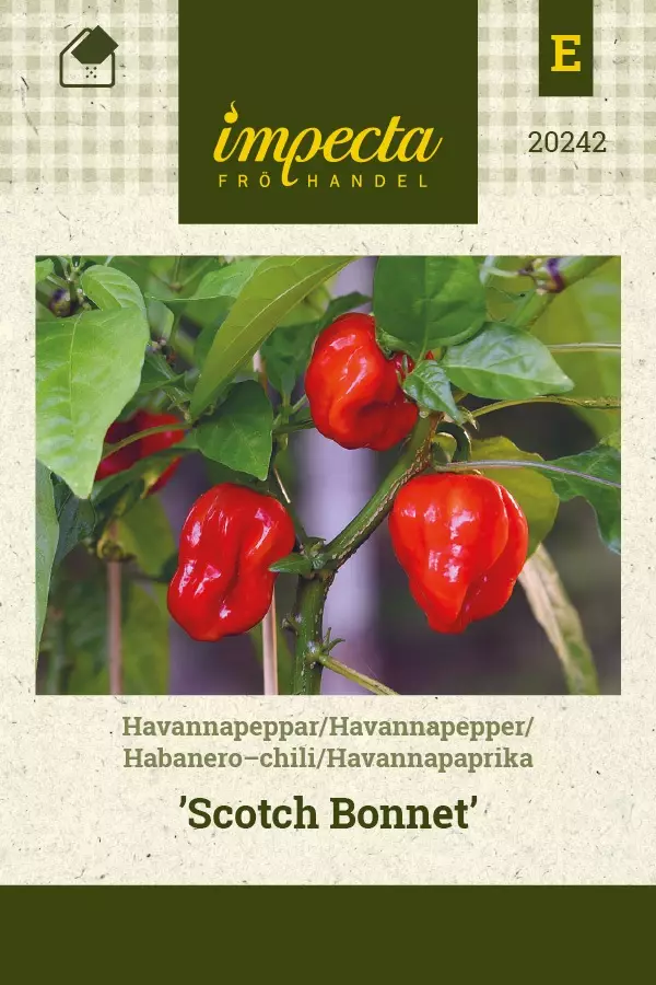 HAVANNAPAPRIKA SCOTCH BONNET - Paprikan ja chilin siemenet - 7332756202425 - 1