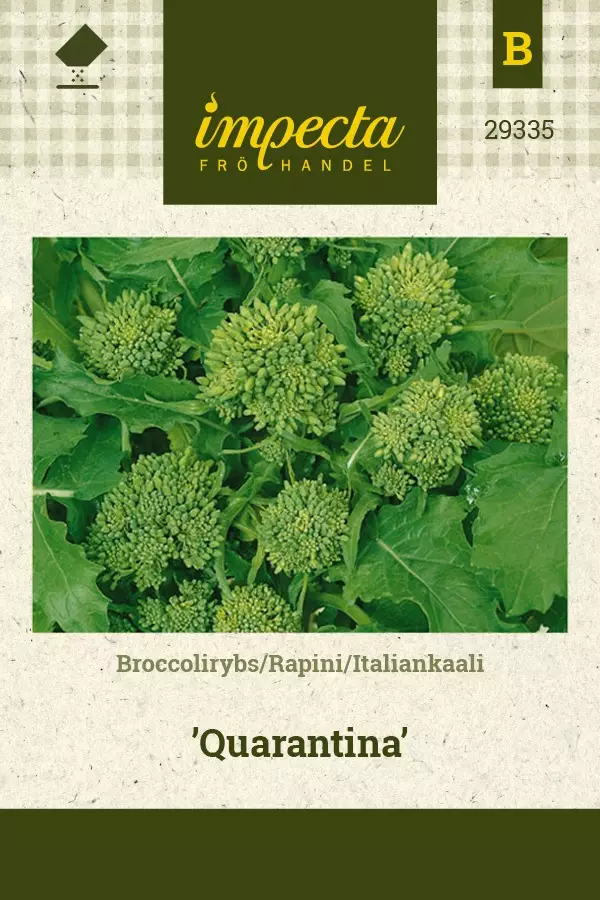 ITALIANKAALI QUARANTINA - Muut vihannesten siemenet - 7332756293355 - 1