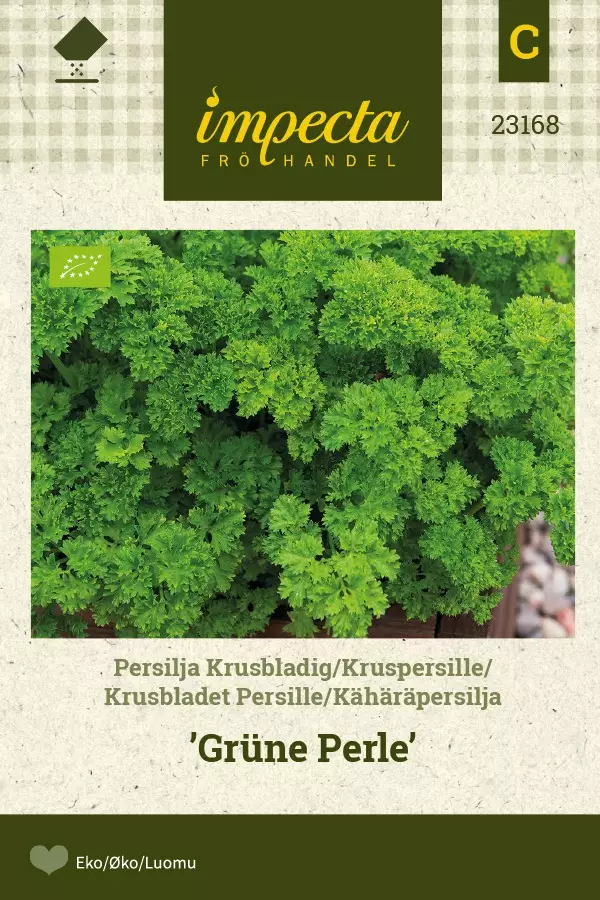 KÄHÄRÄPERSILJA GRÜNE PERLE - Persiljan ja tillin siemenet - 7332756231685 - 1