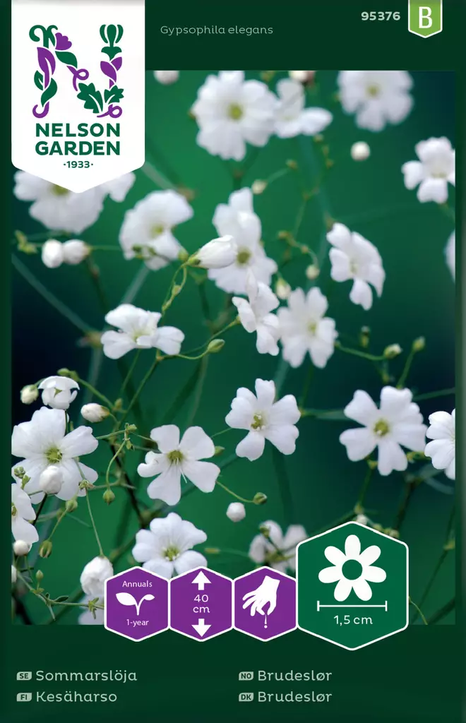 KESÄHARSO - Muut kesäkukkien siemenet - 7312600953765 - 2