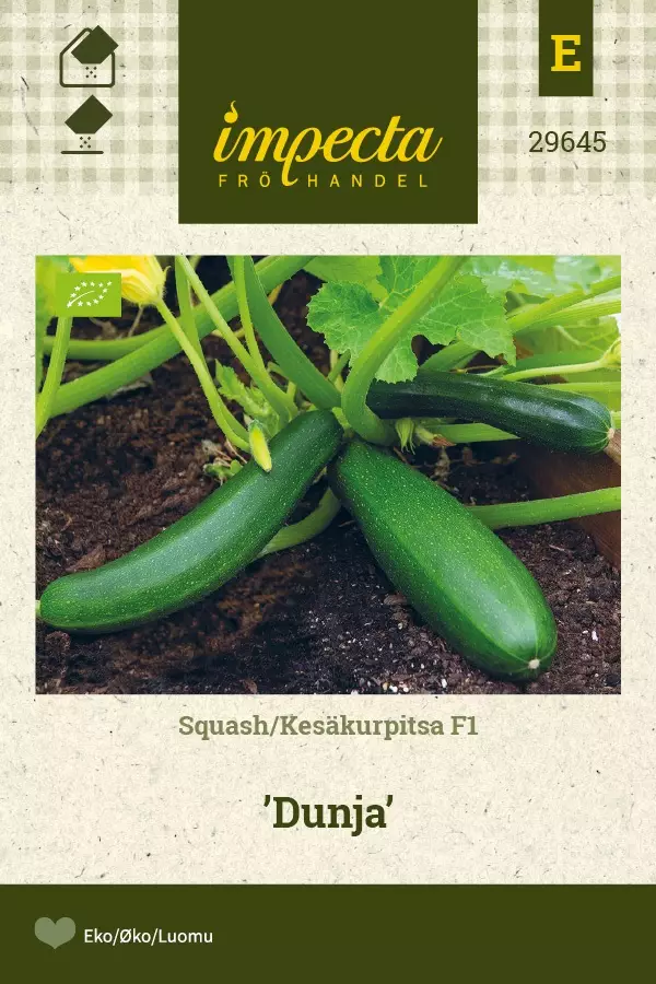 KESÄKURPITSA DUNJA - Kurpitsan siemenet - 7332756296455 - 1