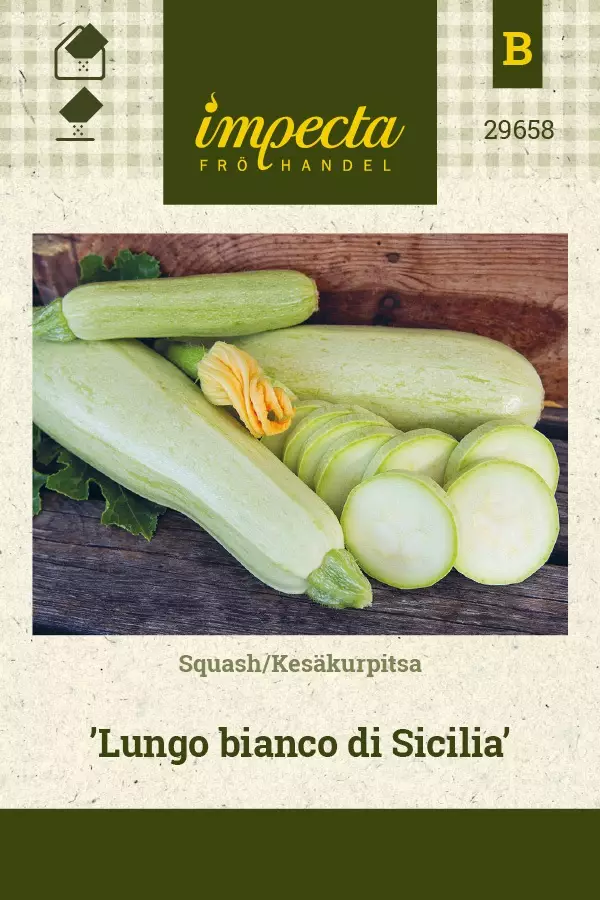 KESÄKURPITSA LUNGO BIANCO DI SICILIA - Kurpitsan siemenet - 7332756296585 - 1