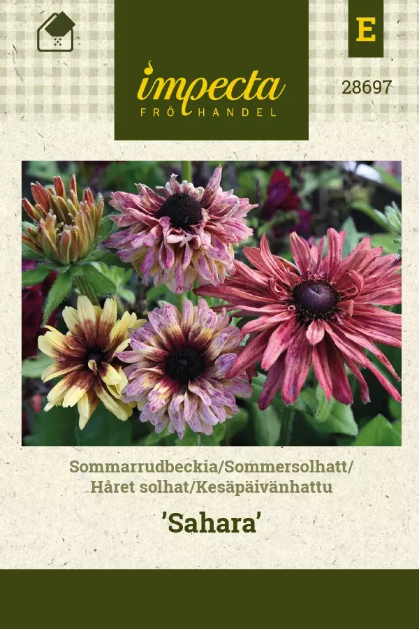 KESÄPÄIVÄNHATTU SAHARA - Muut kesäkukkien siemenet - 7332756286975 - 1