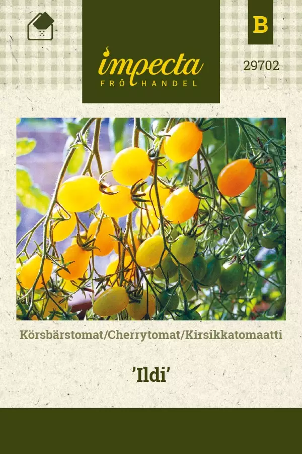 KIRSIKKATOMAATTI ILDI - Tomaatin siemenet - 7332756297025 - 1