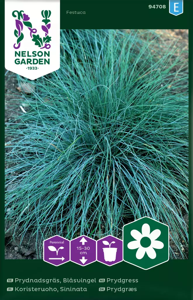 KORISTERUOHO SININATA - Perennojen siemenet - 7312600947085 - 2