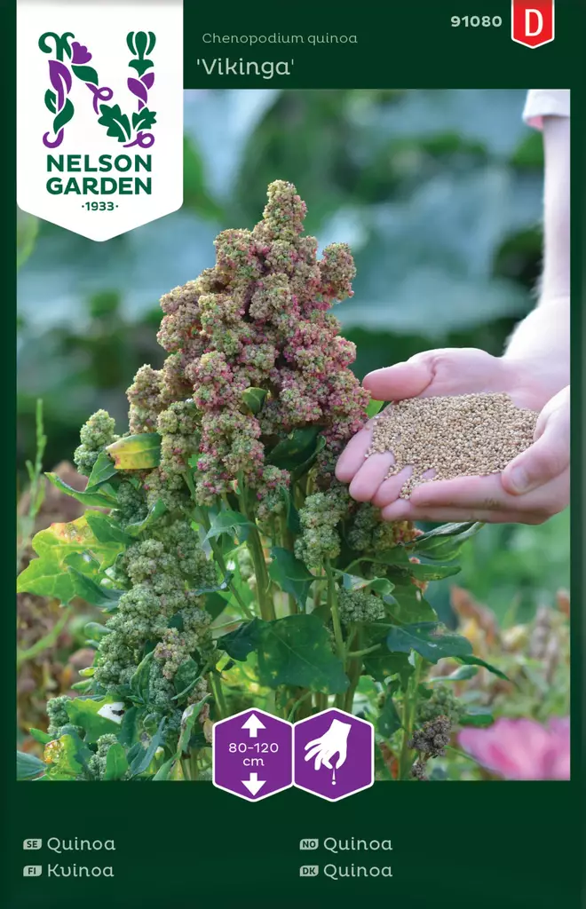 KVINOA VIKINGA - Muut vihannesten siemenet - 7312600910805 - 2