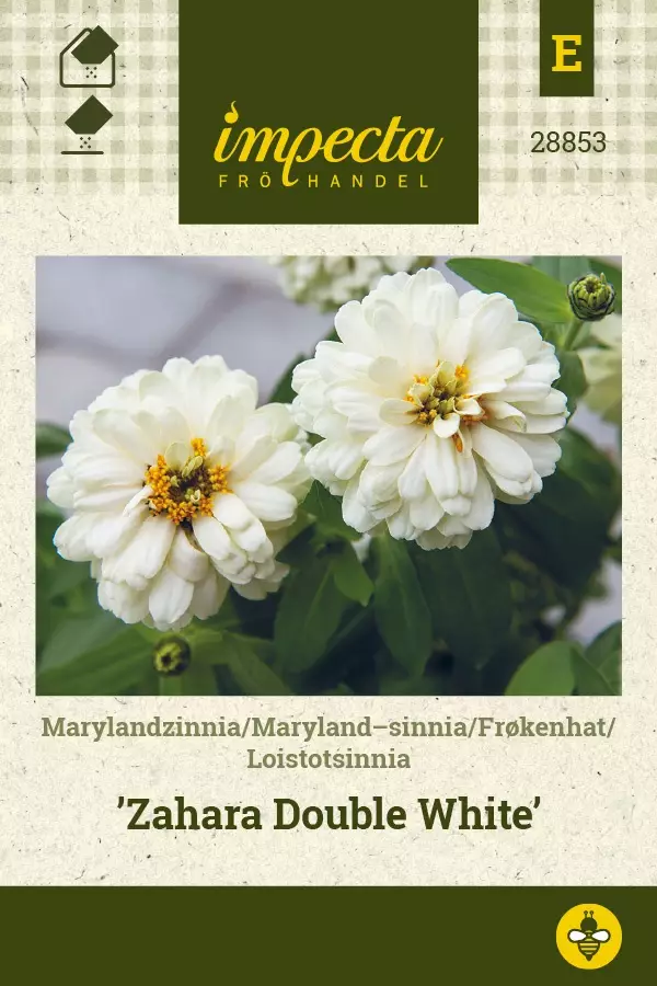 LOISTOTSINNIA ZAHARA DOUBLE WHITE - Tsinnian siemenet - 7332756288535 - 1