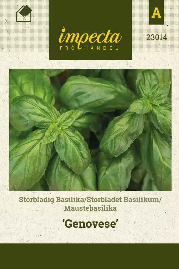 MAUSTEBASILIKA GENOVESE - Basilikan siemenet - 7332756230145 - 1