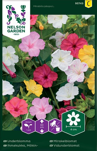 MÖKINIHMEKUKKA, SEOS - Muut kesäkukkien siemenet - 7312600957435 - 1