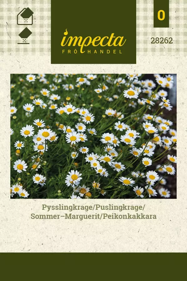 PEIKONKAKKARA - Muut kesäkukkien siemenet - 7332756282625 - 1