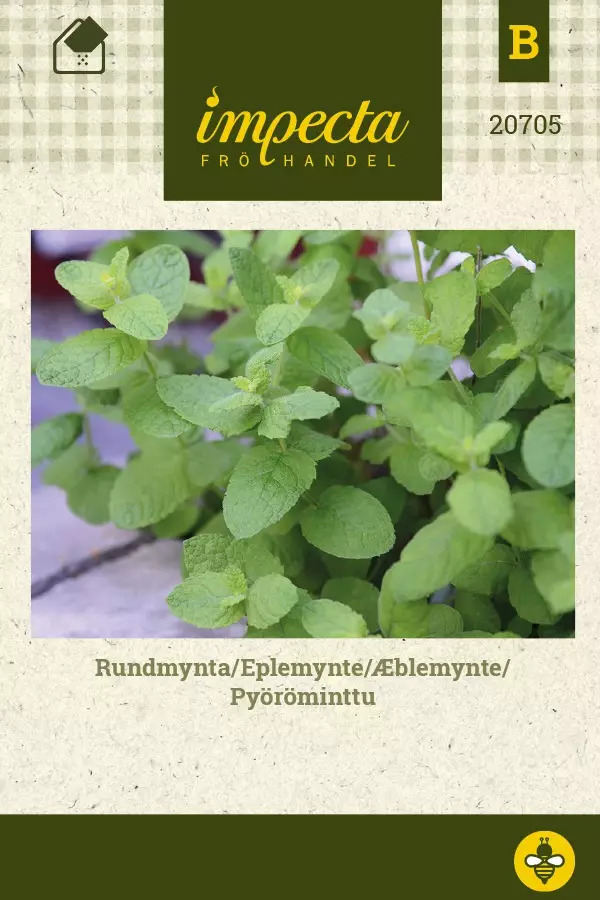 PYÖRÖMINTTU - Muut yrttien siemenet - 7332756207055 - 1