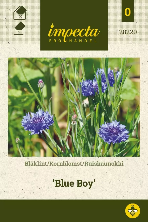 RUISKAUNOKKI BLUE BOY - Muut kesäkukkien siemenet - 7332756282205 - 1