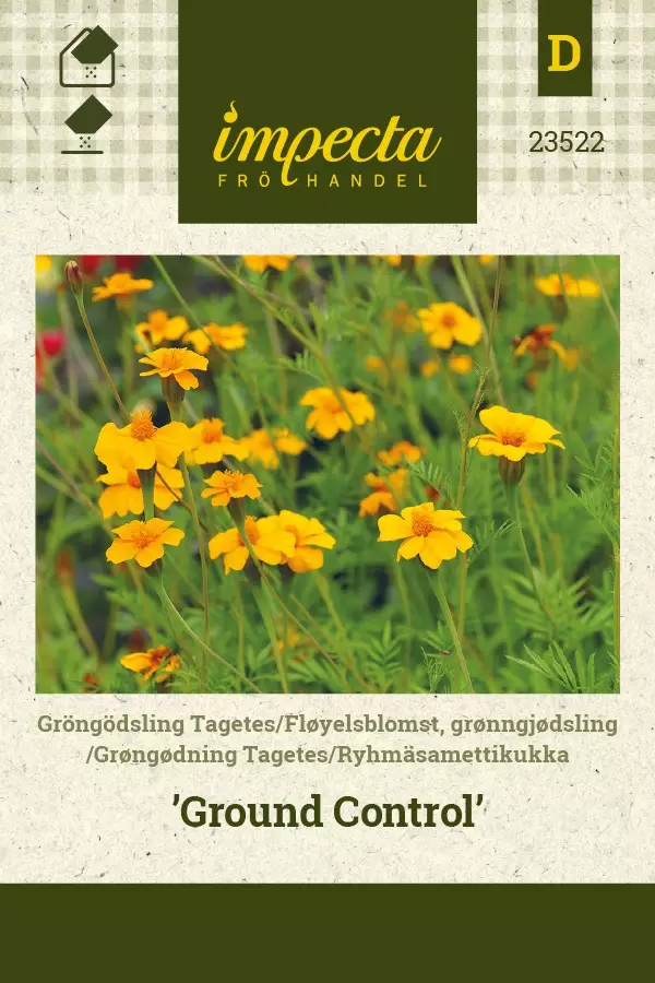 RYHMÄSAMETTIKUKKA GROUND CONTROL - Muut kesäkukkien siemenet - 7332756235225 - 1