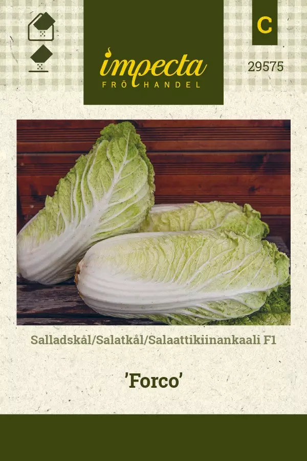 SALAATTIKIINANKAALI FORCO - Kaalin siemenet - 7332756295755 - 1