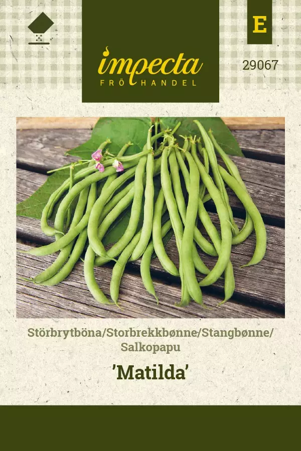 SALKOPAPU MATILDA - Pavun siemenet - 7332756290675 - 1