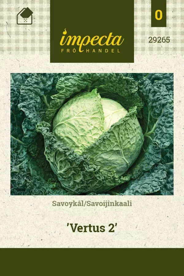 SAVOIJINKAALI VERTUS 2 - Kaalin siemenet - 7332756292655 - 1