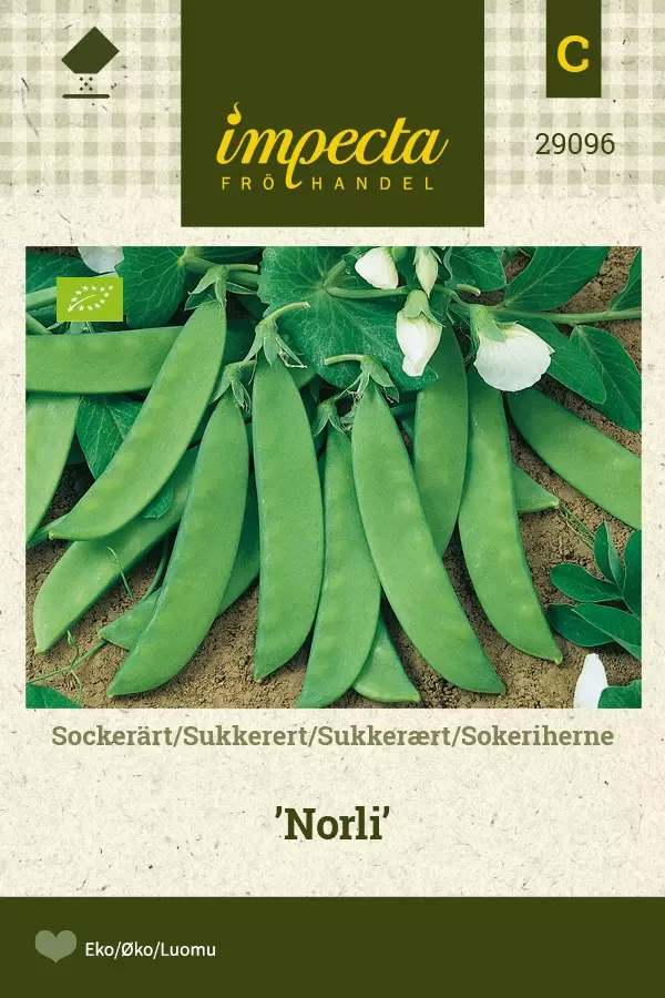 SOKERIHERNE NORLI - Herneen siemenet - 7332756290965 - 1
