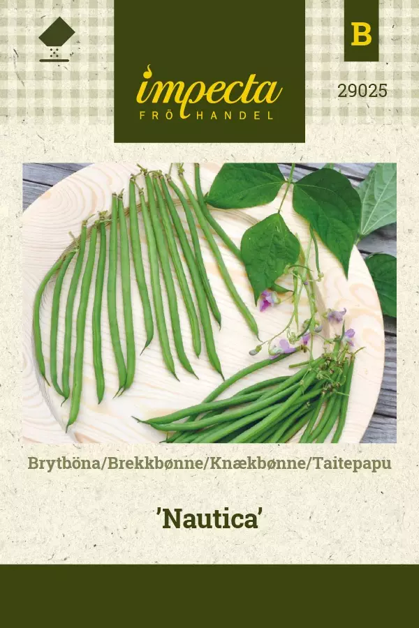 TAITEPAPU NAUTICA - Pavun siemenet - 7332756290255 - 1