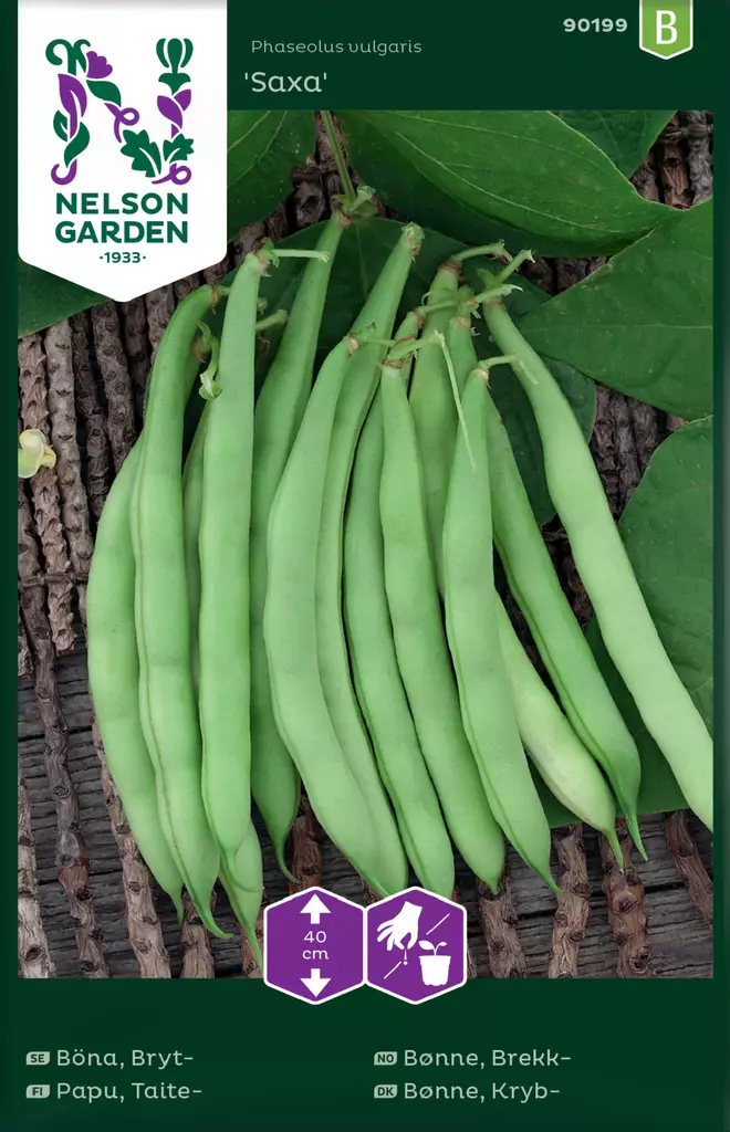 TAITEPAPU SAXA - Pavun siemenet - 7312600901995 - 2