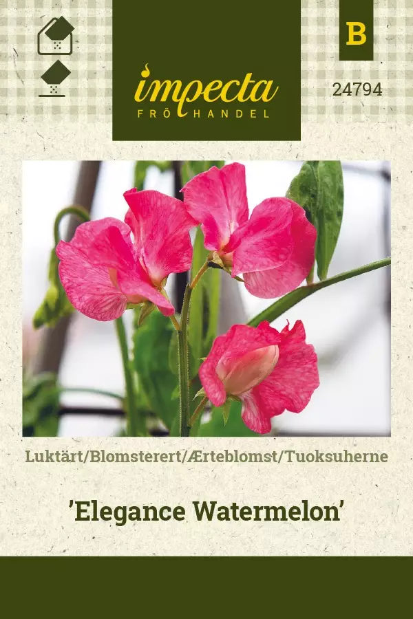 TUOKSUHERNE ELEGANCE WATERMELON - Muut kesäkukkien siemenet - 7332756247945 - 1