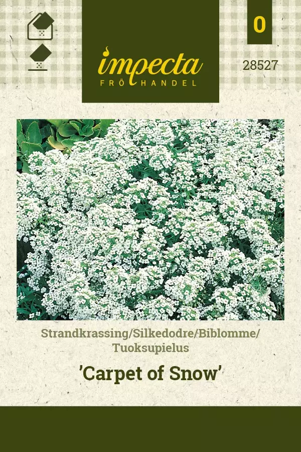 TUOKSUPIELUS CARPET OF SNOW - Muut kesäkukkien siemenet - 7332756285275 - 1
