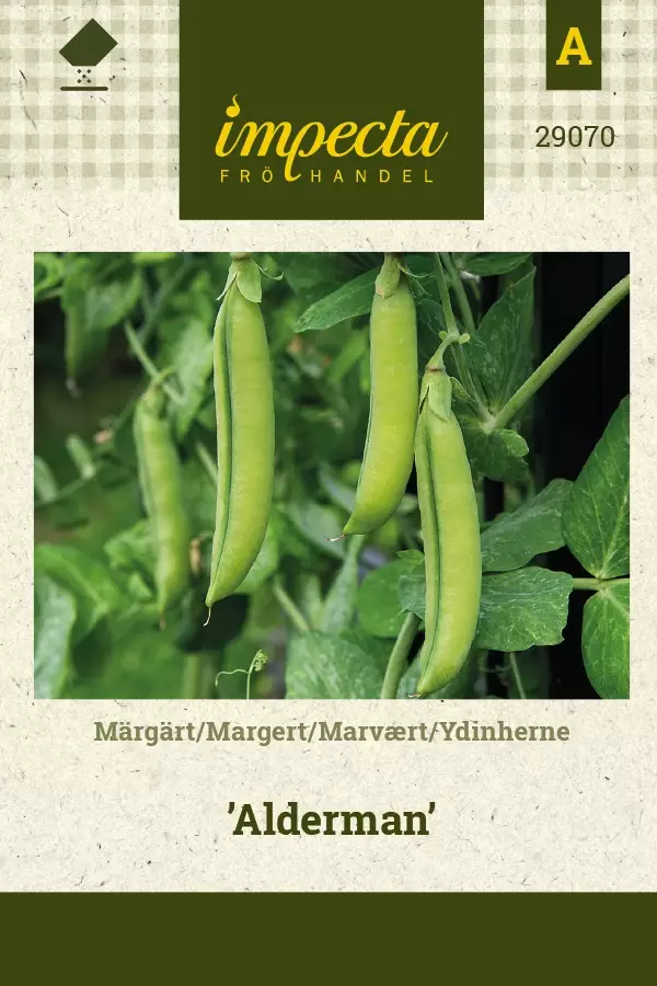 YDINHERNE ALDERMAN - Herneen siemenet - 7332756290705 - 1