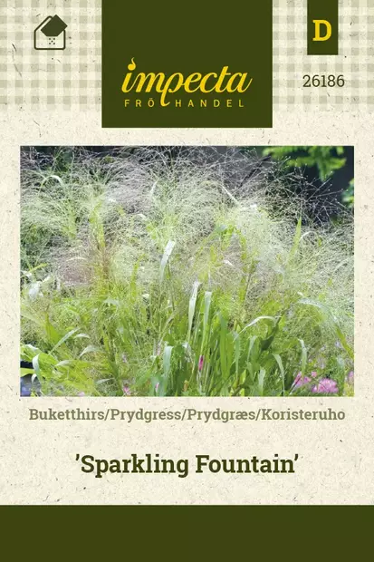 HAPSIHIRSSI SPARKLING FOUNTAIN - Muut kesäkukkien siemenet - 7332756261866 - 1