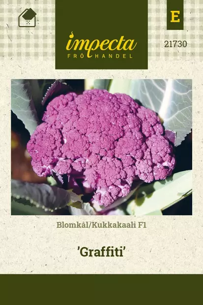 KUKKAKAALI GRAFFITI - Kaalin siemenet - 7332756217306 - 1