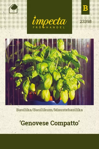 MAUSTEBASILIKA GENOVESE COMPATTO - Basilikan siemenet - 7332756233986 - 1