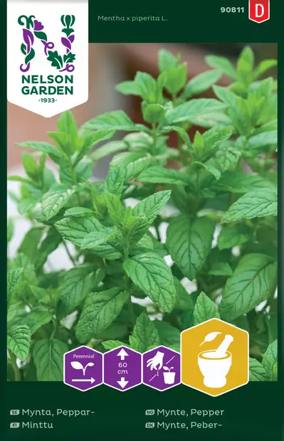 MINTTU - Muut yrttien siemenet - 7312600908116 - 2