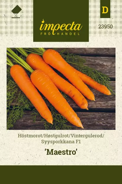 SYYSPORKKANA MAESTRO - Porkkanan siemenet - 7332756239506 - 1