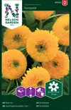 ISOAURINGONKUKKA SUNGOLD - Auringonkukan siemenet - 7312600953246 - 2