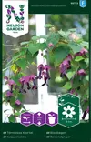 KEIJUNMEKKO - Muut kesäkukkien siemenet - 7312600957336 - 2